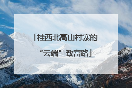 桂西北高山村寨的“云端”致富路