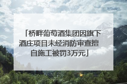桥畔葡萄酒集团因旗下酒庄项目未经消防审查擅自施工被罚3万元