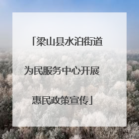 梁山县水泊街道为民服务中心开展惠民政策宣传