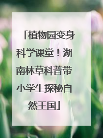 植物园变身科学课堂！湖南林草科普带小学生探秘自然王国