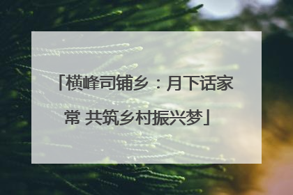 横峰司铺乡：月下话家常 共筑乡村振兴梦
