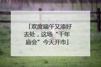 欢度端午又添好去处，这场“千年庙会”今天开市