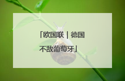 欧国联｜德国不敌葡萄牙