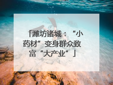 潍坊诸城：“小药材”变身群众致富“大产业”
