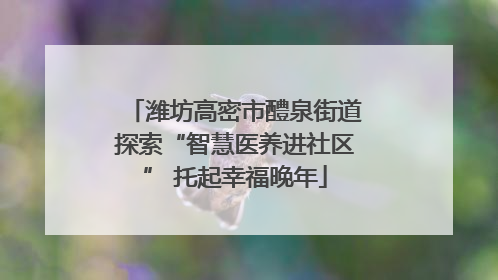 潍坊高密市醴泉街道探索“智慧医养进社区” 托起幸福晚年