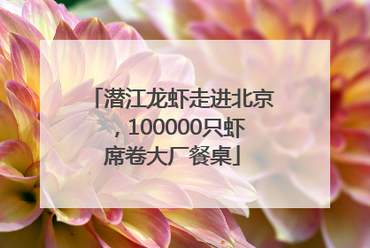 潜江龙虾走进北京，100000只虾席卷大厂餐桌