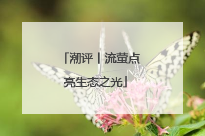 潮评丨流萤点亮生态之光