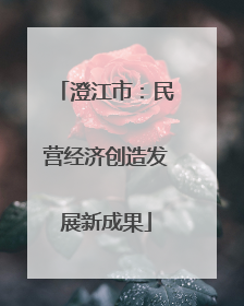 澄江市：民营经济创造发展新成果