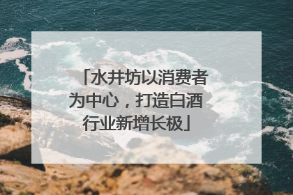 水井坊以消费者为中心，打造白酒行业新增长极