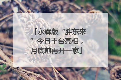永辉版“胖东来”今日丰台亮相，月底前再开一家