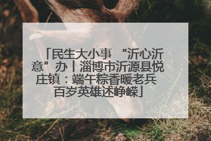 民生大小事 “沂心沂意”办丨淄博市沂源县悦庄镇:端午粽香暖老兵 百岁英雄述峥嵘