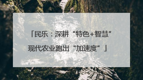 民乐：深耕“特色+智慧”现代农业跑出“加速度”