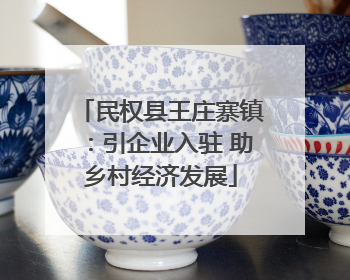 民权县王庄寨镇：引企业入驻 助乡村经济发展
