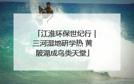 江淮环保世纪行｜三河湿地研学热 黄陂湖成鸟类天堂