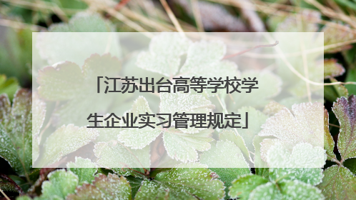 江苏出台高等学校学生企业实习管理规定