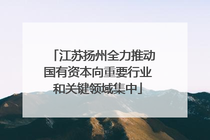 江苏扬州全力推动国有资本向重要行业和关键领域集中