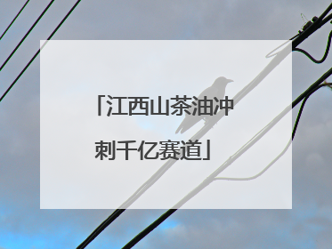 江西山茶油冲刺千亿赛道