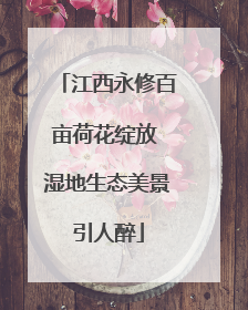 江西永修百亩荷花绽放 湿地生态美景引人醉