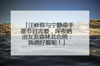 汪峰称与宁静牵手是节目需要，深夜晒出女友森林北合照：我俩好着呢！
