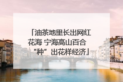 油茶地里长出网红花海 宁海高山百合“种”出花样经济