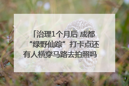 治理1个月后 成都“绿野仙踪”打卡点还有人横穿马路去拍照吗？｜民情瞭望