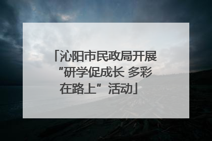 沁阳市民政局开展“研学促成长 多彩在路上”活动
