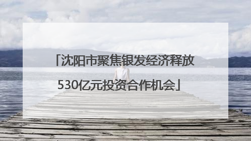 沈阳市聚焦银发经济释放530亿元投资合作机会