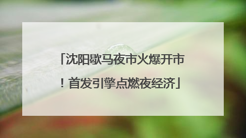 沈阳歇马夜市火爆开市！首发引擎点燃夜经济