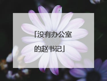 没有办公室的赵书记
