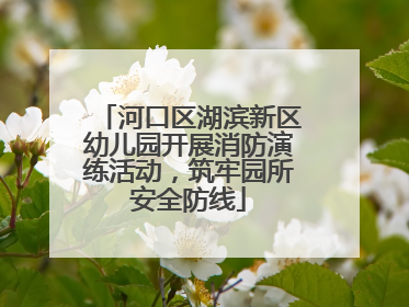 河口区湖滨新区幼儿园开展消防演练活动，筑牢园所安全防线
