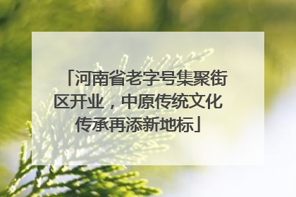 河南省老字号集聚街区开业，中原传统文化传承再添新地标