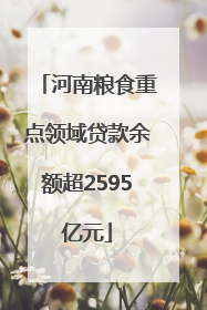 河南粮食重点领域贷款余额超2595亿元