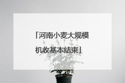 河南小麦大规模机收基本结束
