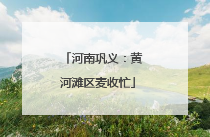 河南巩义：黄河滩区麦收忙