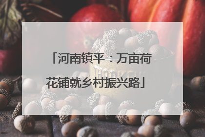 河南镇平：万亩荷花铺就乡村振兴路