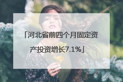 河北省前四个月固定资产投资增长7.1%
