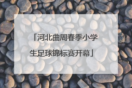 河北曲周春季小学生足球锦标赛开幕