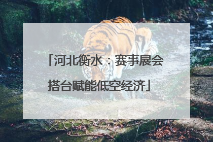 河北衡水：赛事展会搭台赋能低空经济