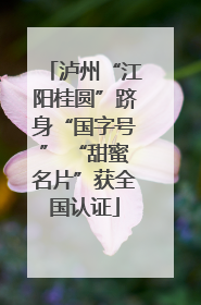 泸州“江阳桂圆”跻身“国字号” “甜蜜名片”获全国认证
