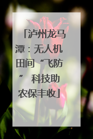 泸州龙马潭：无人机田间“飞防” 科技助农保丰收