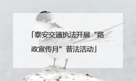 泰安交通执法开展“路政宣传月”普法活动