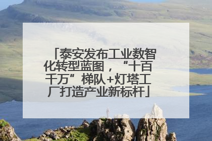 泰安发布工业数智化转型蓝图，“十百千万”梯队+灯塔工厂打造产业新标杆