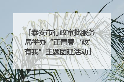 泰安市行政审批服务局举办“正青春‘政’有我”主题团建活动