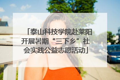 泰山科技学院赴莱阳开展暑期“三下乡”社会实践公益志愿活动