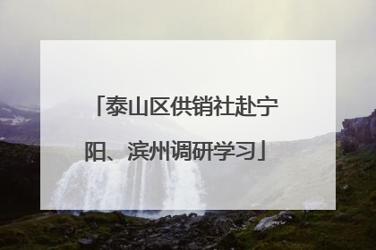 泰山区供销社赴宁阳、滨州调研学习