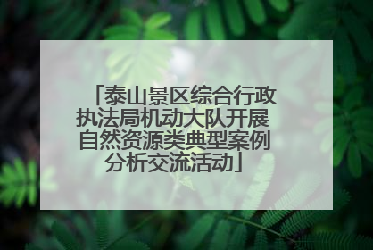 泰山景区综合行政执法局机动大队开展自然资源类典型案例分析交流活动