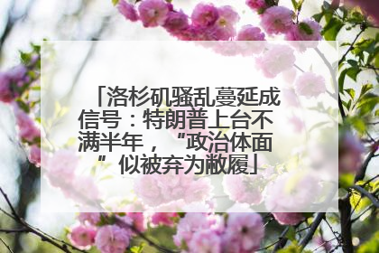 洛杉矶骚乱蔓延成信号：特朗普上台不满半年，“政治体面”似被弃为敝履