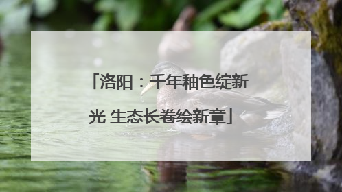 洛阳：千年釉色绽新光 生态长卷绘新章