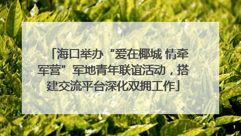 海口举办“爱在椰城 情牵军营”军地青年联谊活动，搭建交流平台深化双拥工作