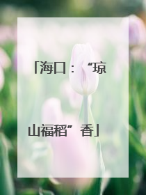 海口：“琼山福稻”香